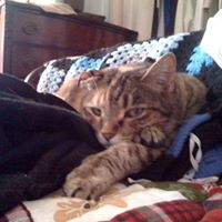 Joyce Metzger Photo 15
