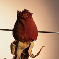 Baldev Raj Photo 12