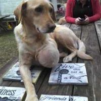 Lizzie Conner Photo 7 Lizzie Conner Photo 7