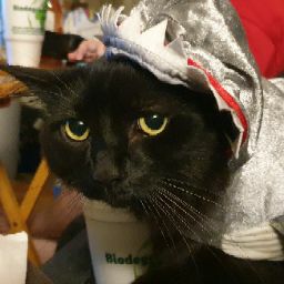 Stephen Krueger Photo 13