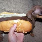 Jack Freeman Photo 12