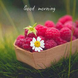 Anand Gupta Photo 22