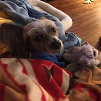 Kathy Elliott Photo 5