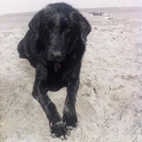 Frances Horne Photo 33