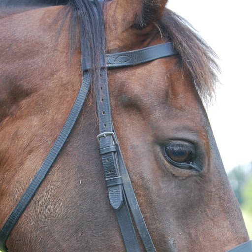 Lance Larson Photo 21