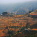 Linh Ha Photo 25