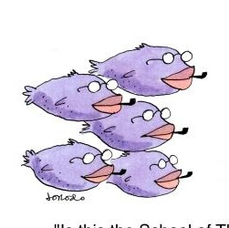 Louise Cunningham Photo 21