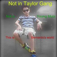 Nick Bernardo Photo 20