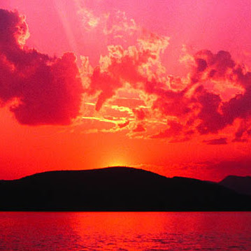 Joanne Lewis Photo 16 Joanne Lewis Photo 16