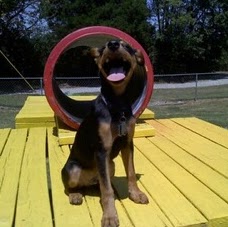 Michael Bella Photo 14