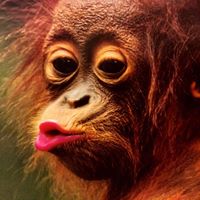 Brett Howell Photo 12