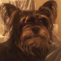 Steven Parrish Photo 16