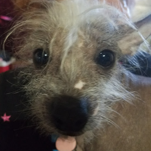 James Huffman Photo 23