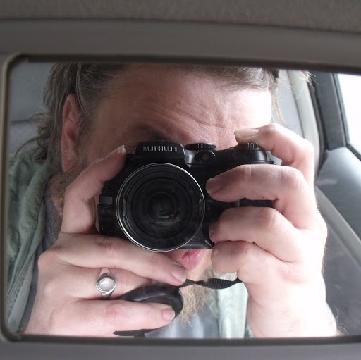 David Mccarty Photo 14