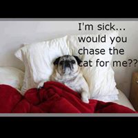 Geoff Robertson Photo 9