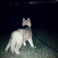 Raul Colon Photo 47 Raul Colon Photo 47