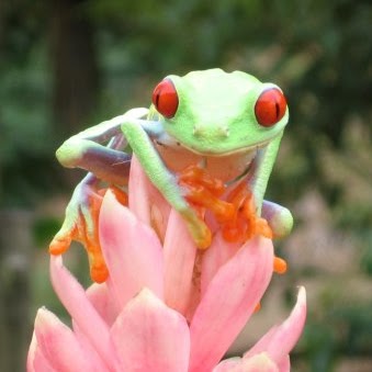 Michelle Rich Photo 12