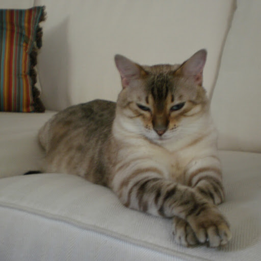 Peggy Richardson Photo 36