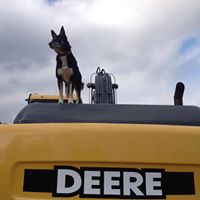 Glen Downey Photo 14 Glen Downey Photo 14