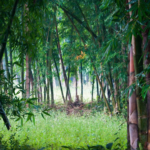 Tim Ballard Photo 35