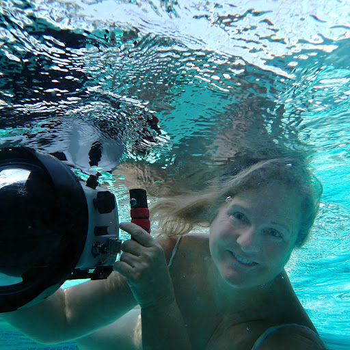 Susan Roche Photo 31 Susan Roche Photo 31