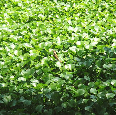 Changchang Liu Photo 5