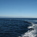 Barbara Goos Photo 9