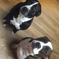 Brenda Bassett Photo 22 Brenda Bassett Photo 22