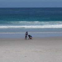 Cora Williams Photo 15