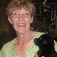 Judy Carpenter Photo 33