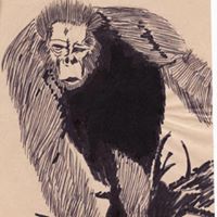 Sarah Radcliffe Photo 38 Sarah Radcliffe Photo 38