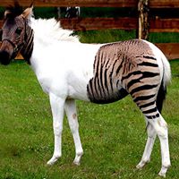 Rebecca Gruber Photo 22