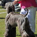 Cynthia Mauldin Photo 19