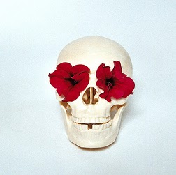 Fran Rose Photo 33