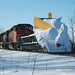 Wayne Snow Photo 2