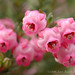 Erica Berry Photo 10