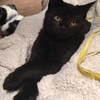 Michele Rosenbaum Photo 7