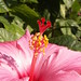 Jessica Suggs Photo 24