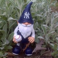 Amy Crandall Photo 10