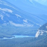 Shelly Blum Photo 5