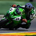David Kyle Photo 28