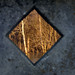 William Shell Photo 15