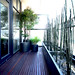 Donald Halpin Photo 12