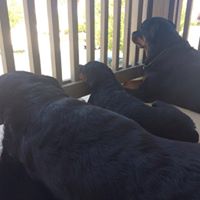 Lisa Castro Photo 9