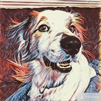 Timothy Murray Photo 43