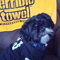 Marilyn Patterson Photo 21