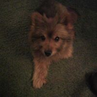 Marty Helms Photo 15