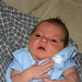 Joseph Braden Photo 11