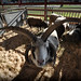 Mike Beane Photo 15