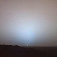 Randolph Valentino Photo 3